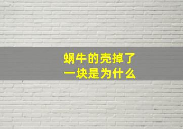 蜗牛的壳掉了 一块是为什么